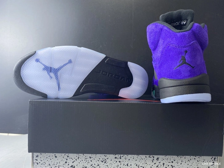 Rep Jordan Air  136027-500 “Alternate Grape” 5 0514